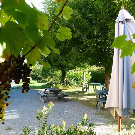 Apartamento Chaleureux à Avec Piscine Partagée - 55 M² Blaignac